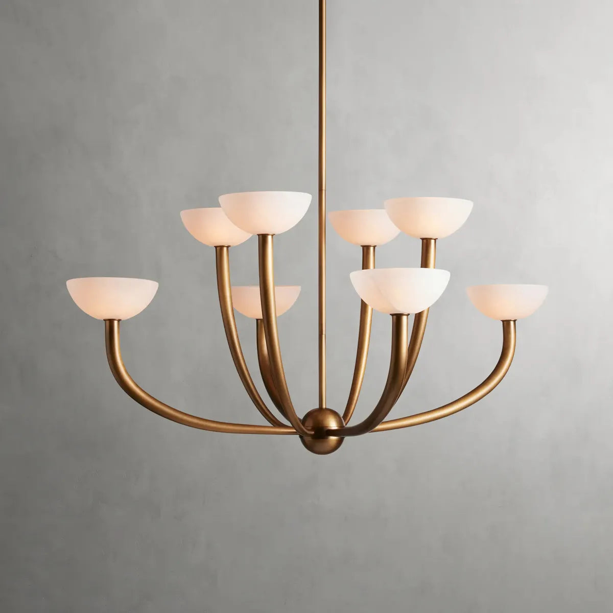 Saguaro Chandelier - view 1