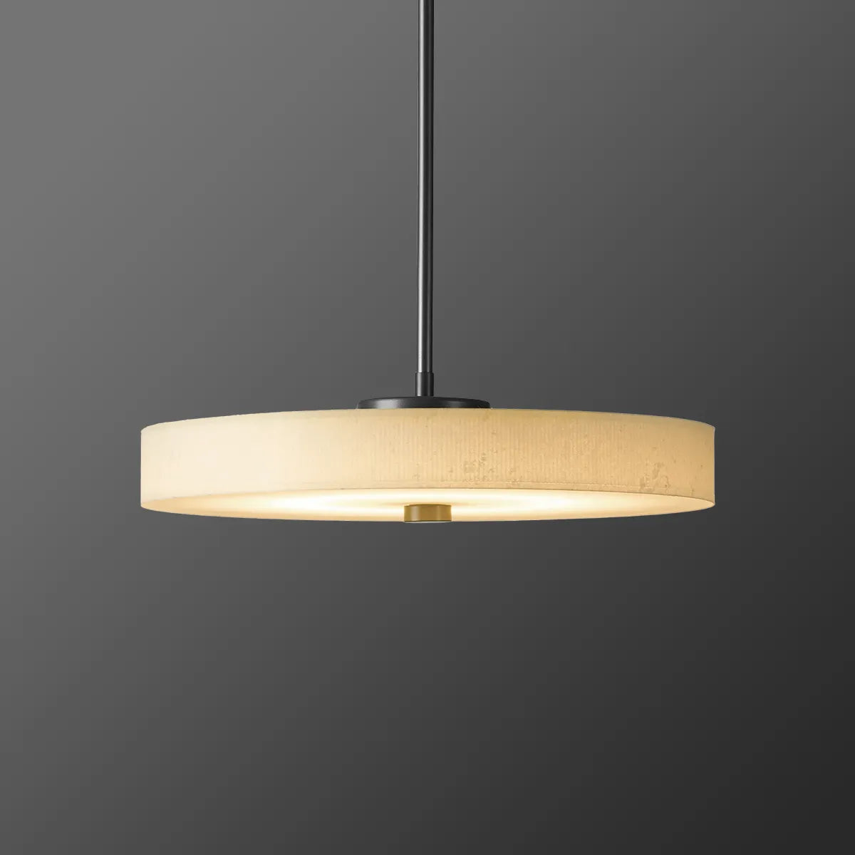 Light in the Space Disq Large LED Pendant - view 1