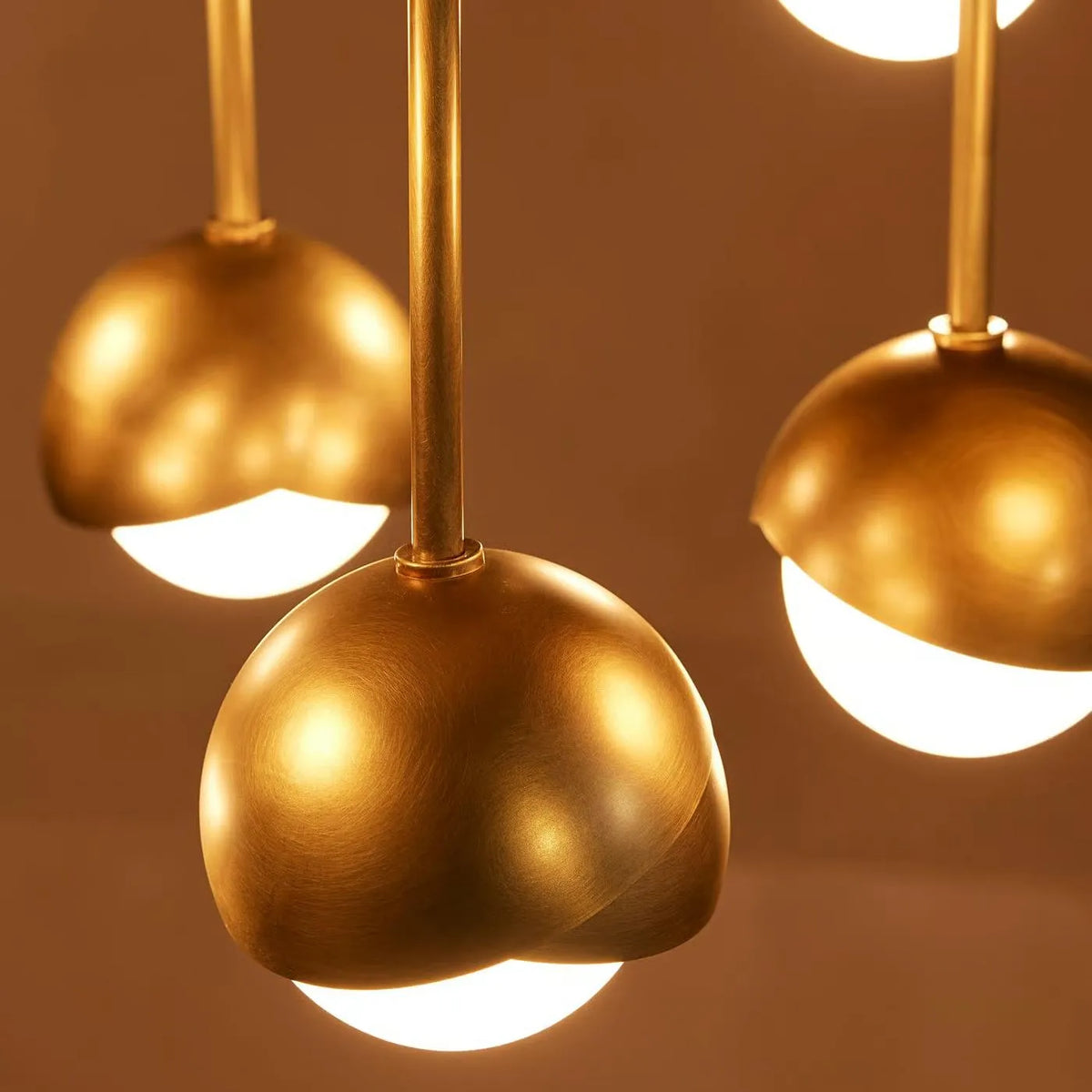Seed Chandelier - view 6