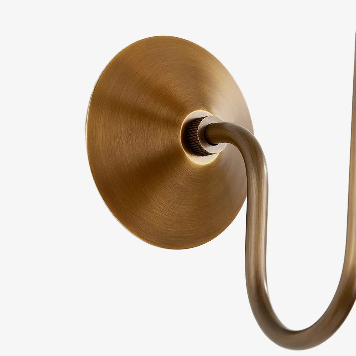 Evan Sconce - view 8